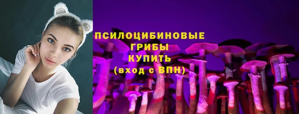 соль ск Арсеньев