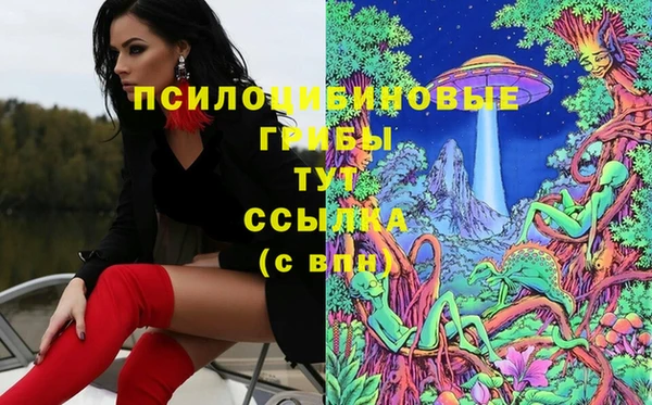 трава Аркадак