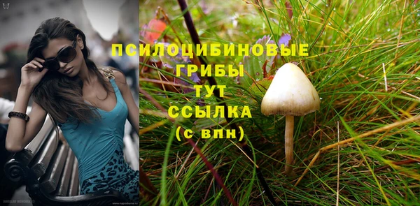 соль ск Арсеньев